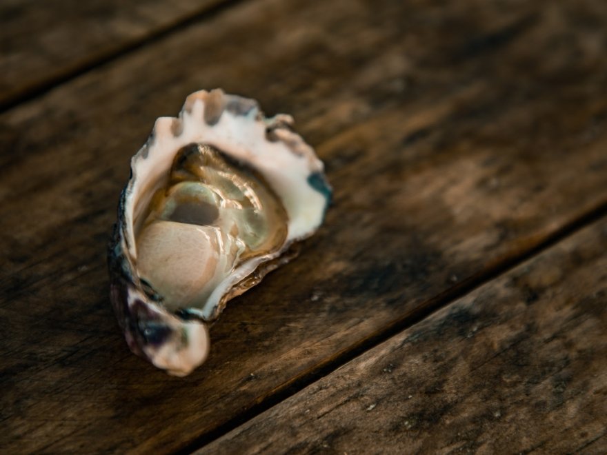 Lewes Oyster House
