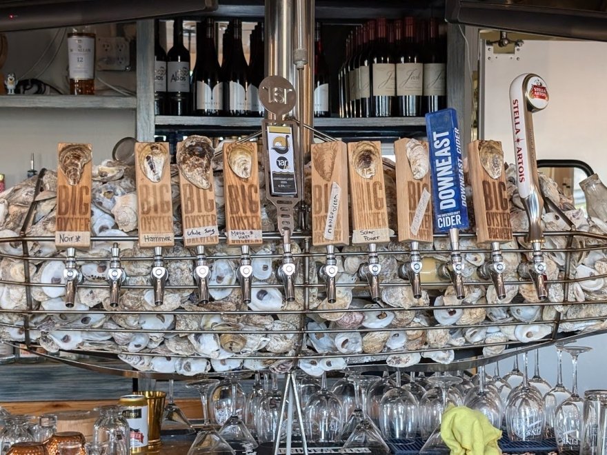 Fins Ale House & Raw Bar