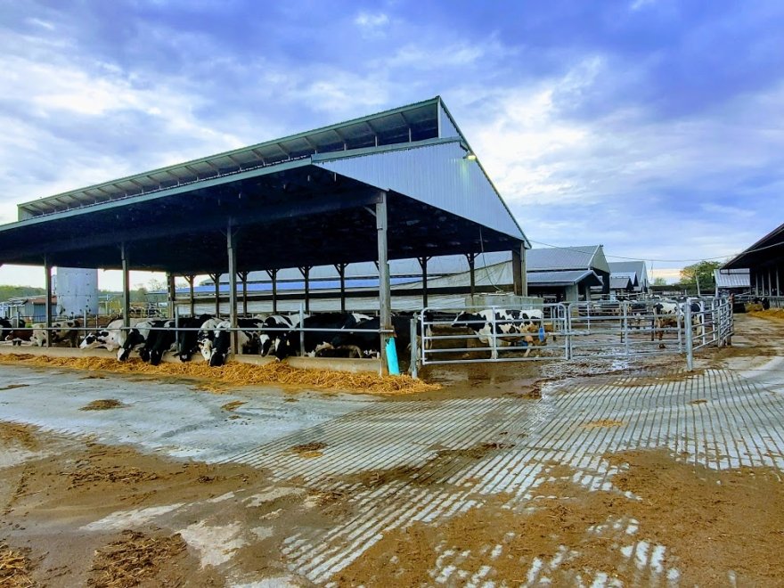 Hopkins Farm Creamery