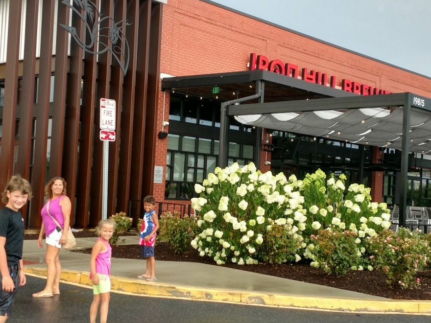 Iron Hill Brewery & Restaurant