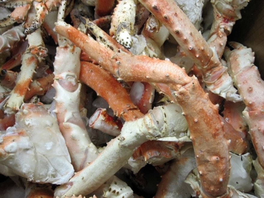 Lewes Fishhouse Seafood Market