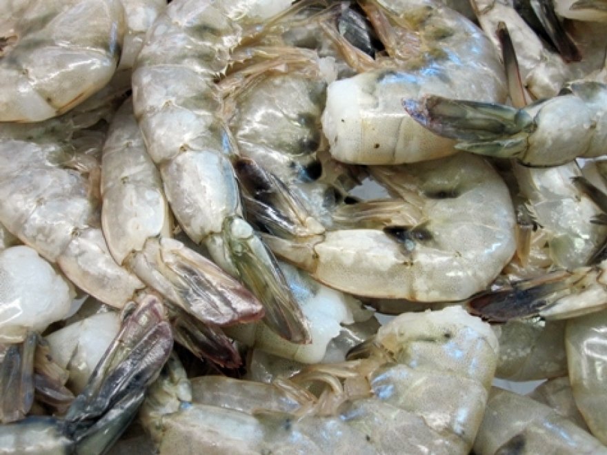 Lewes Fishhouse Seafood Market