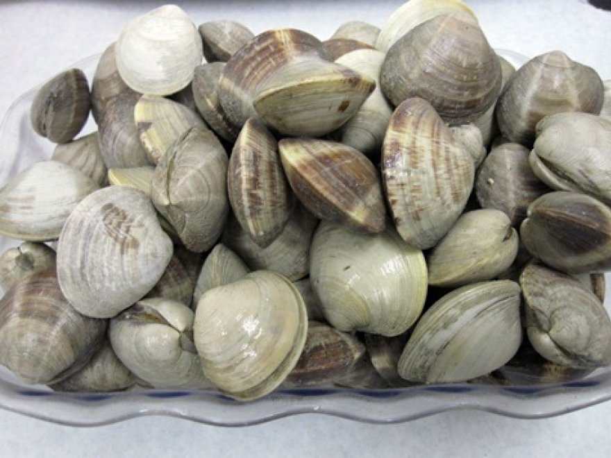 Lewes Fishhouse Seafood Market