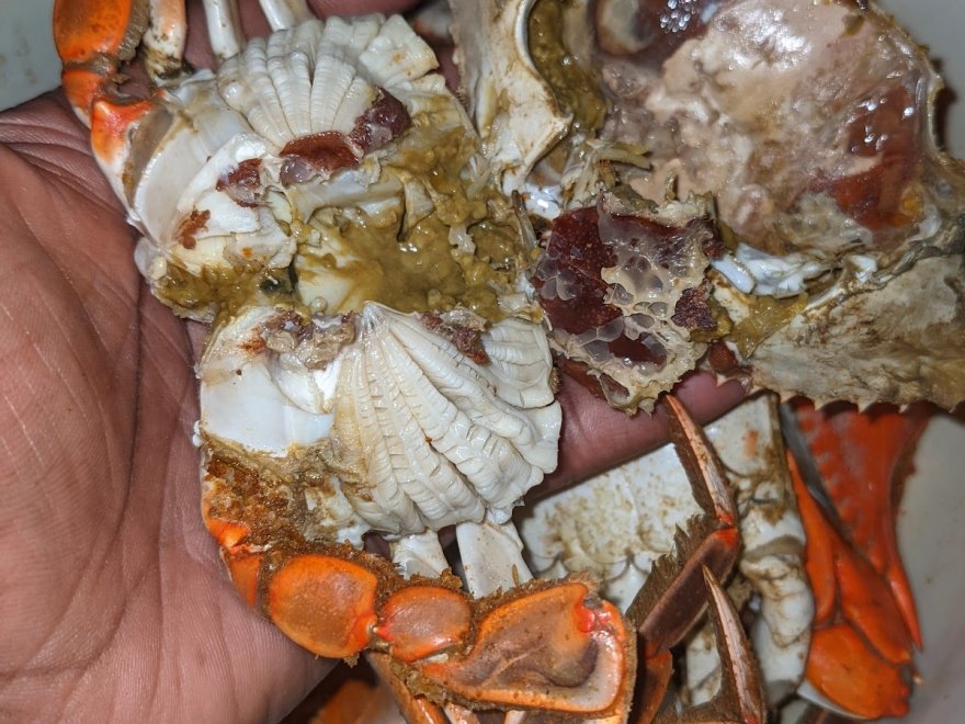 Meding's Seafood