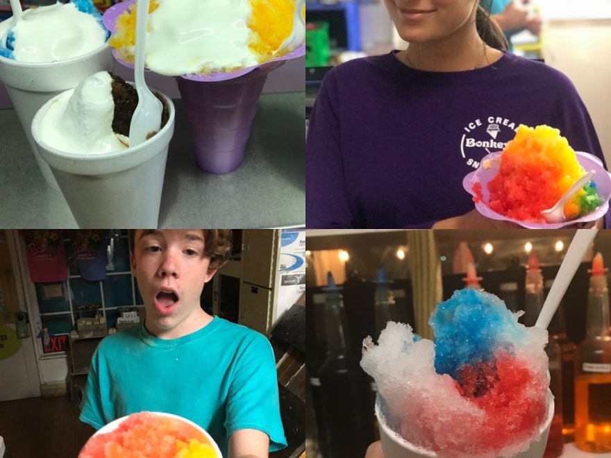 Bonkey's Ice Cream & Snoballs