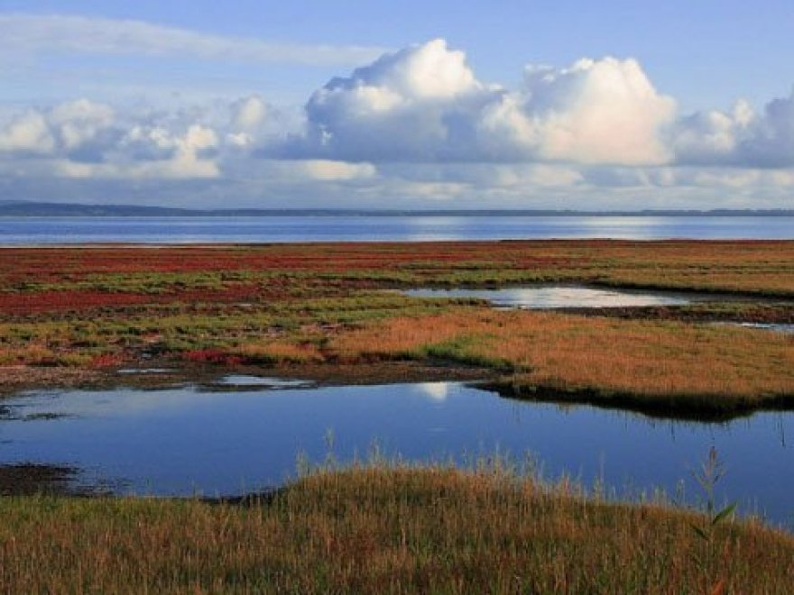 Crowley Associates Realty, Inc - Rehoboth