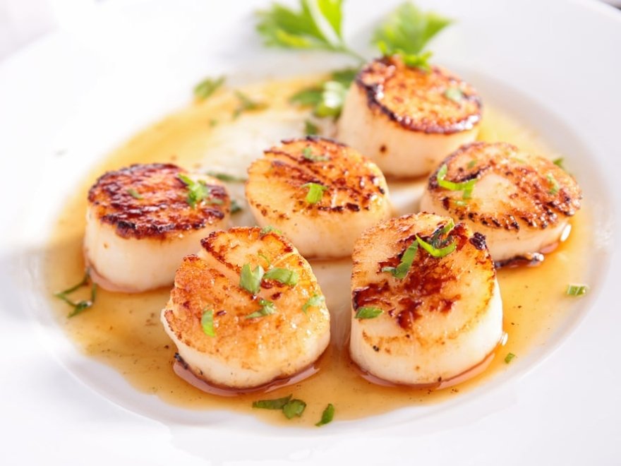 Northeast Seafood Kitchen