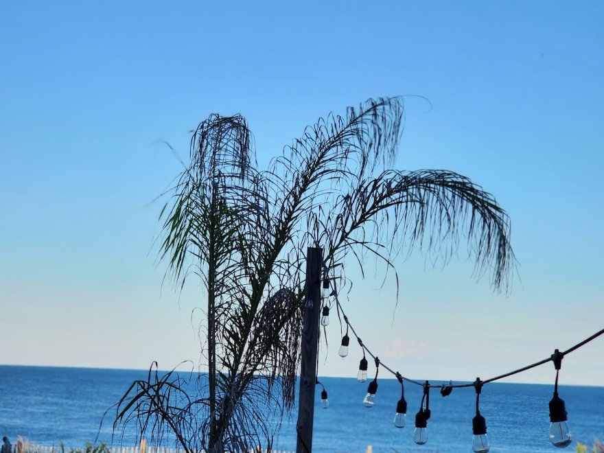 Obie's By the Sea