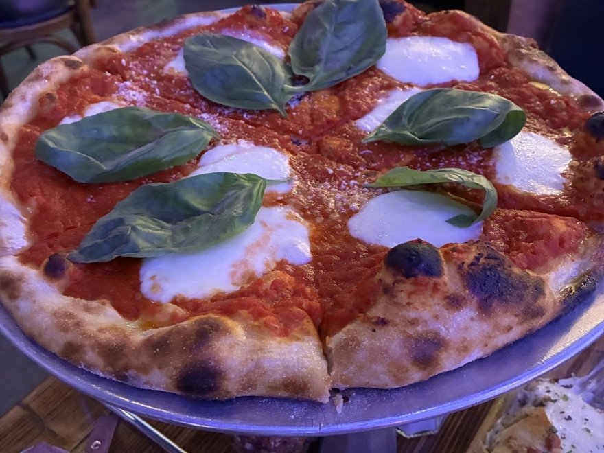 Dalmata Italiano