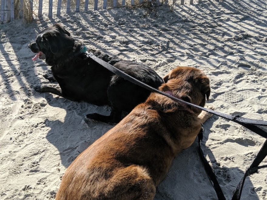 Bethany Beach Boardwalk