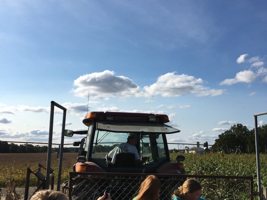 Mr. Pepper's Pumpkin Patch