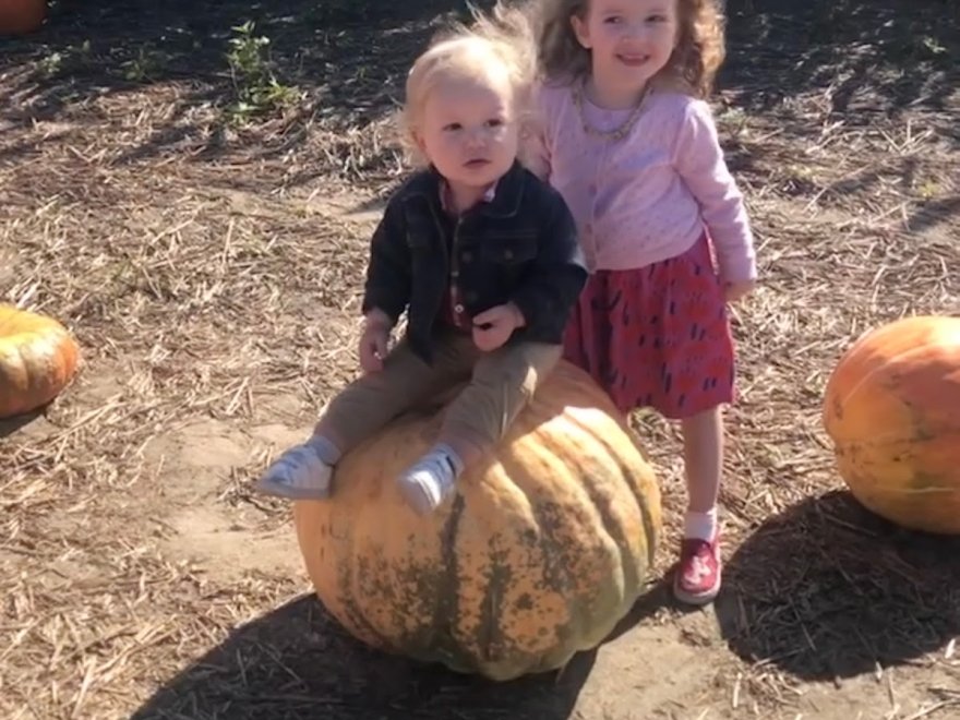 Mr. Pepper's Pumpkin Patch