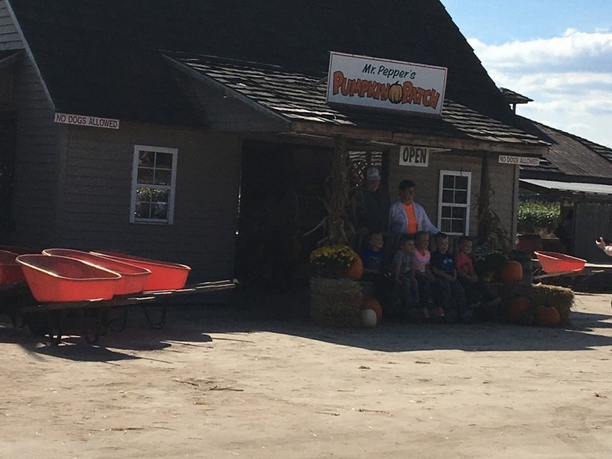 Mr. Pepper's Pumpkin Patch