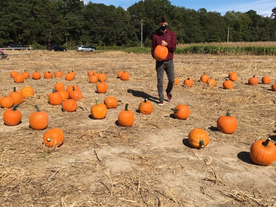 Mr. Pepper's Pumpkin Patch