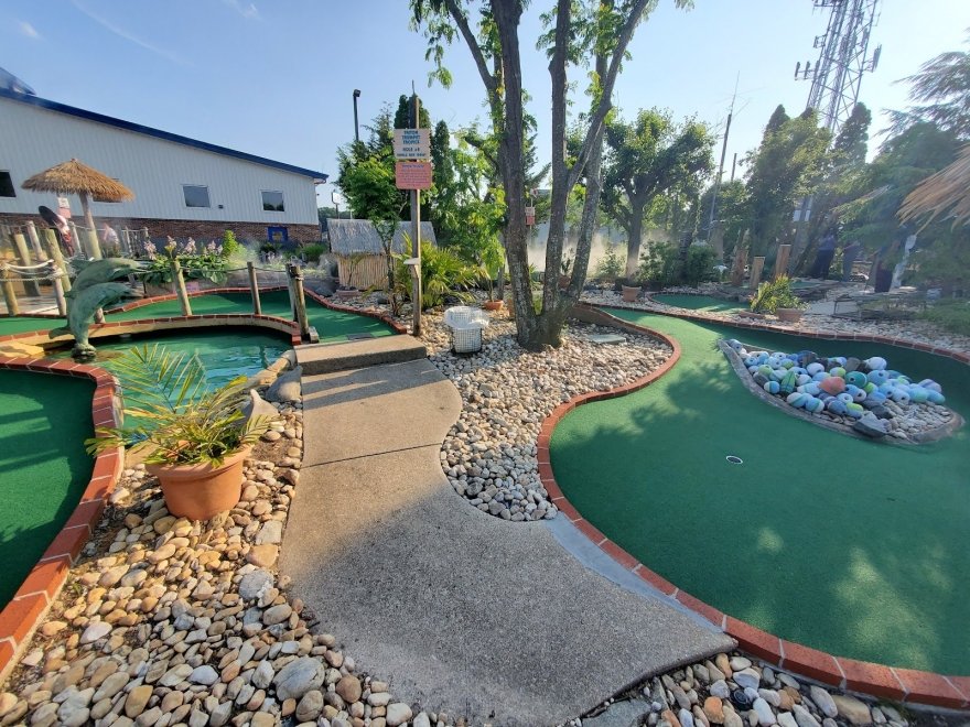 Shell We Golf