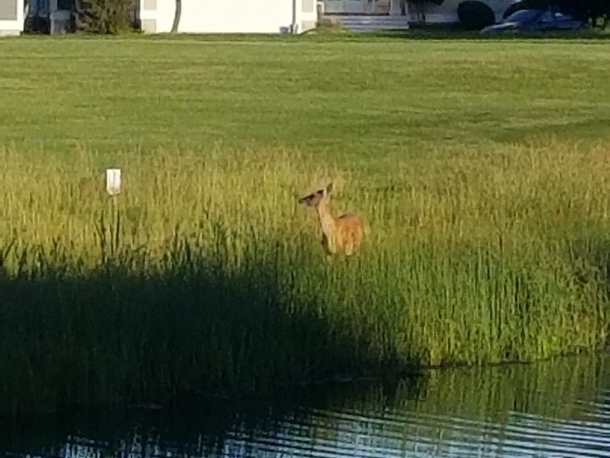 Bethany Bay Golf Club