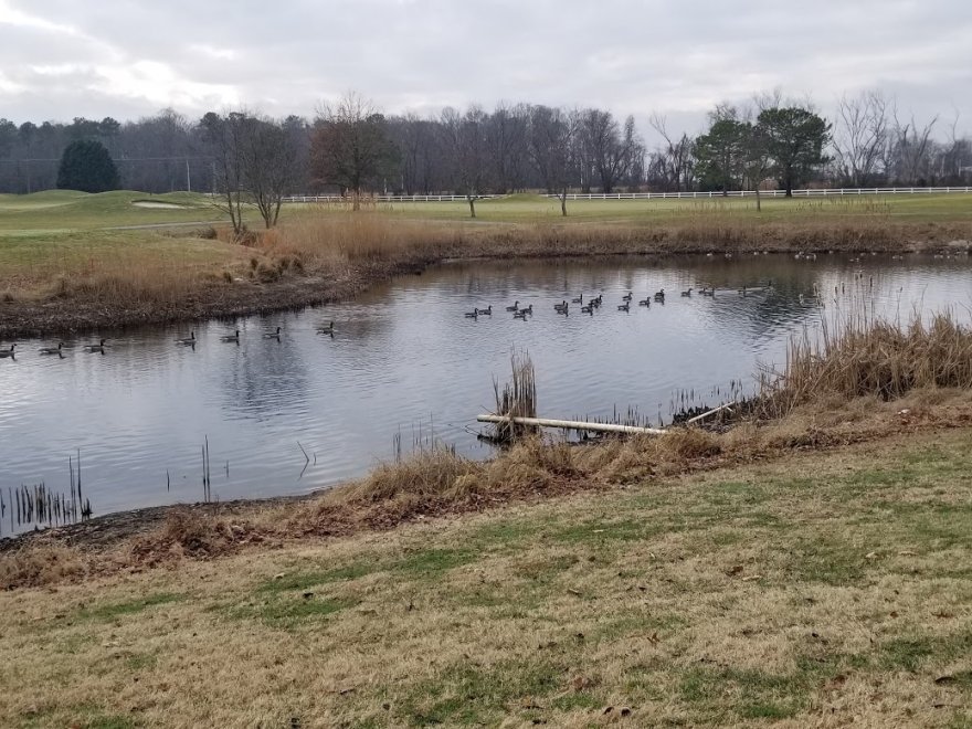 The Rookery South Course