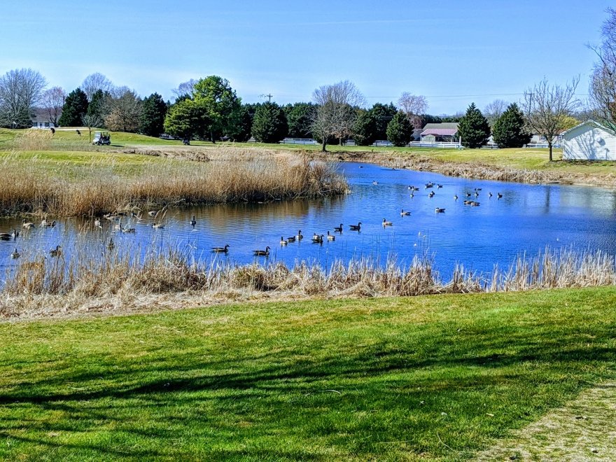 The Rookery South Course