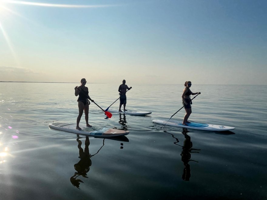 Delmarva Board Sports Waterfront Concession