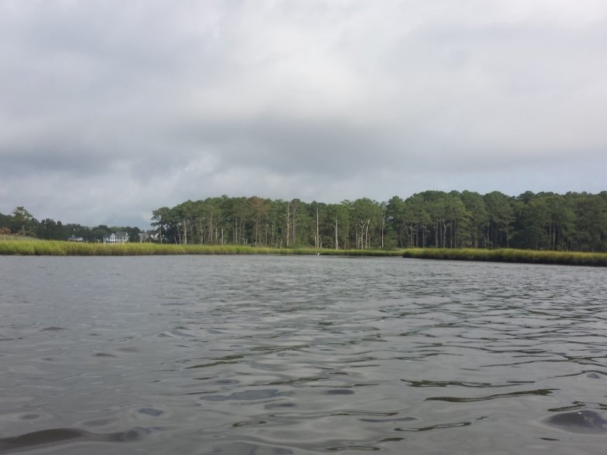 Delmarva Board Sports Waterfront Concession