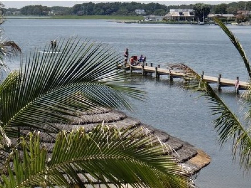 Delmarva Board Sports Waterfront Concession