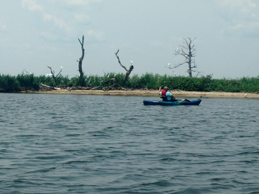 Coastal Kayak