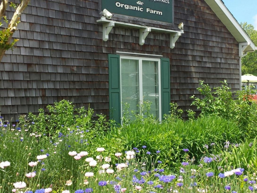 Good Earth Market & Organic Farm