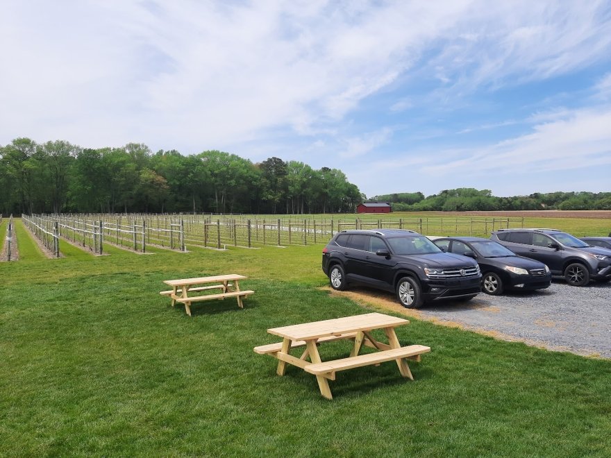 Salted Vines Vineyard & Winery
