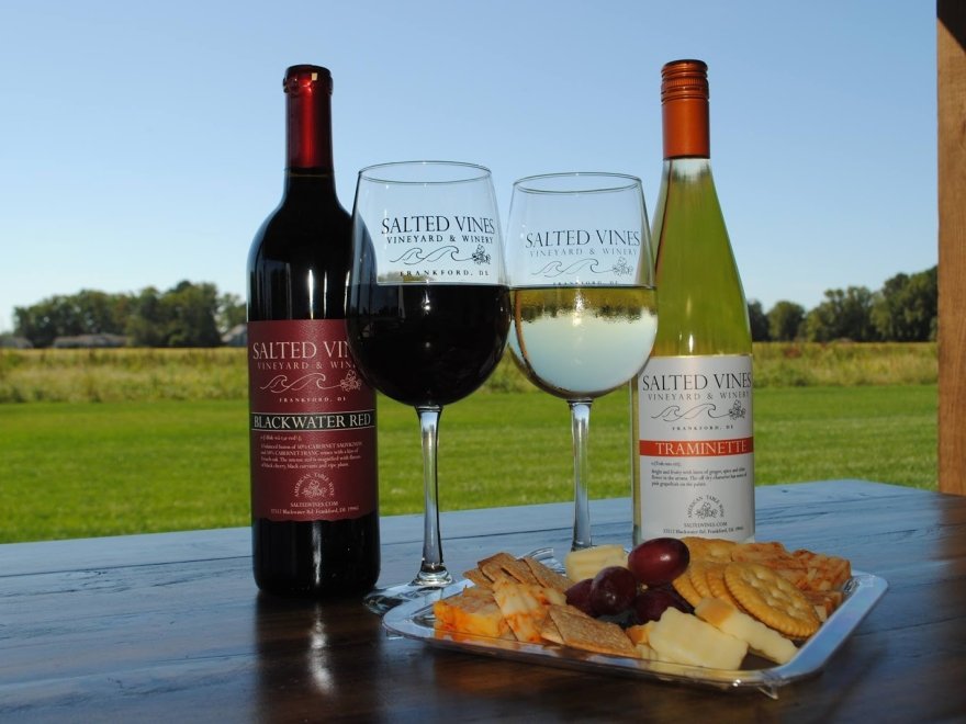 Salted Vines Vineyard & Winery