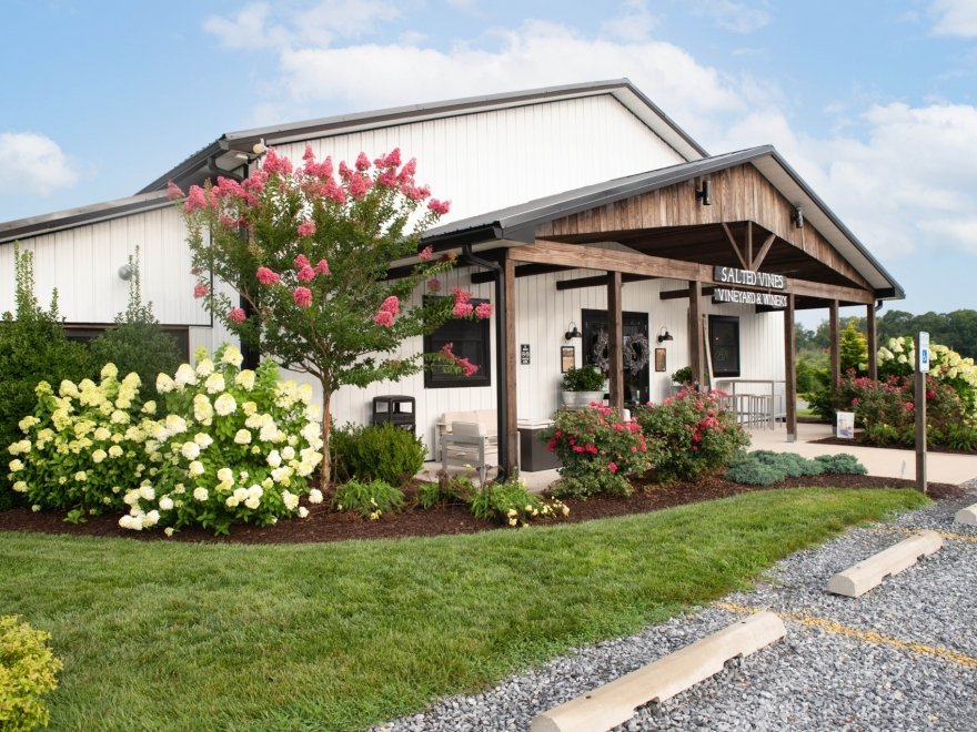 Salted Vines Vineyard & Winery