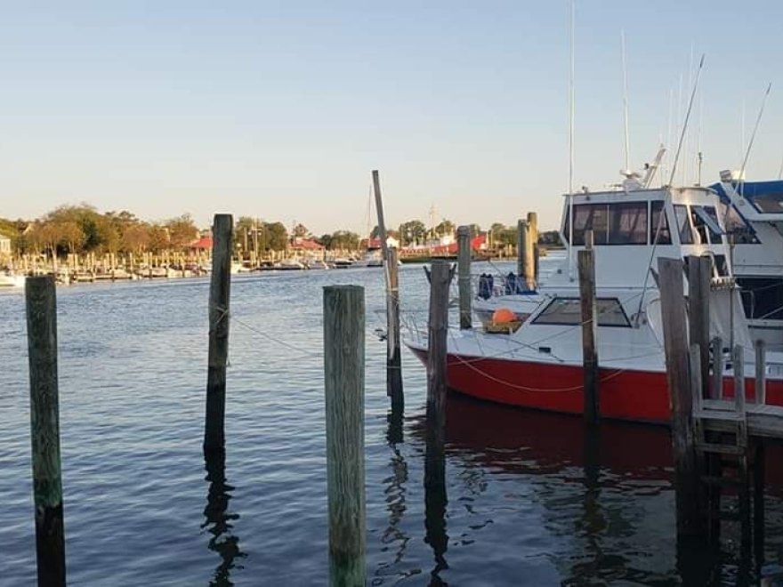 Lewes Harbour Marina