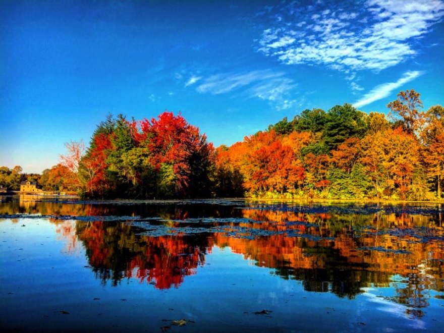 Abbott's Mill Nature Center of Delaware Nature Society