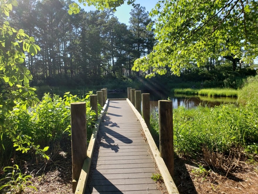 Bethany Beach Nature Center