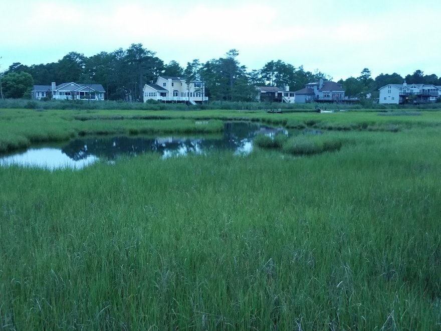 Bethany Beach Nature Center