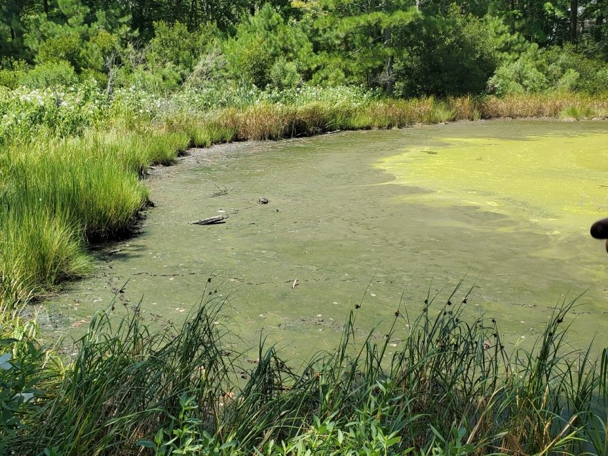 Bethany Beach Nature Center