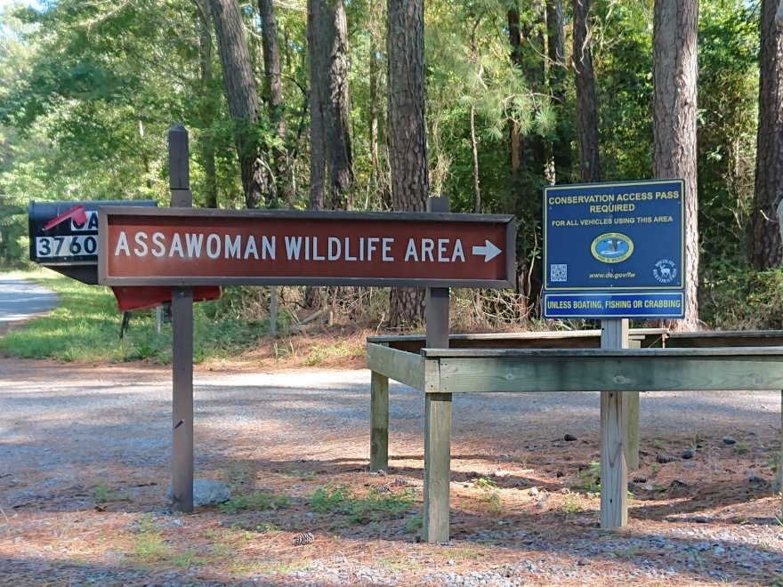 Assawoman Wildlife Area