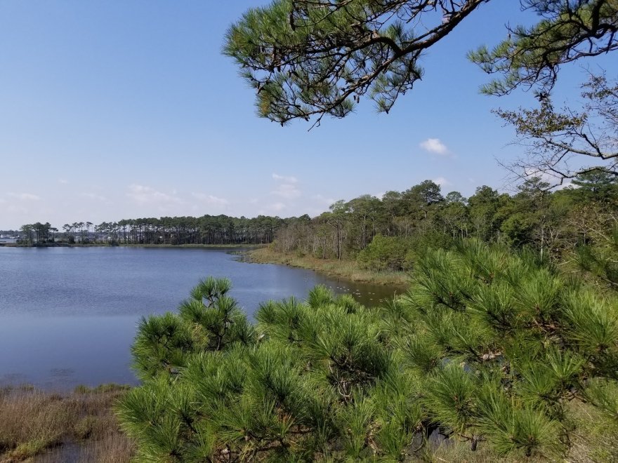 Assawoman Wildlife Area