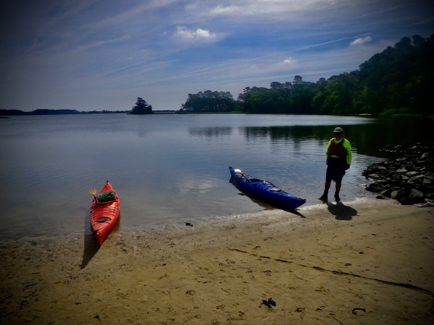 Assawoman Wildlife Area