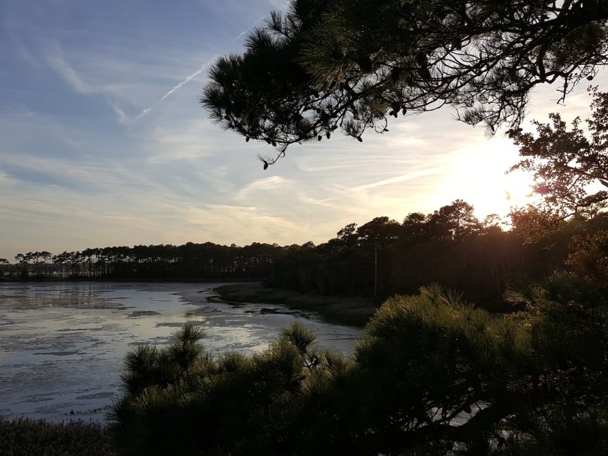 Assawoman Wildlife Area