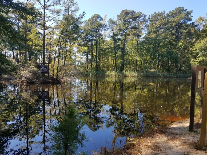 Assawoman Wildlife Area