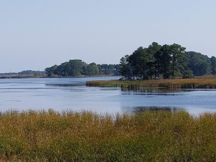 Assawoman Wildlife Area