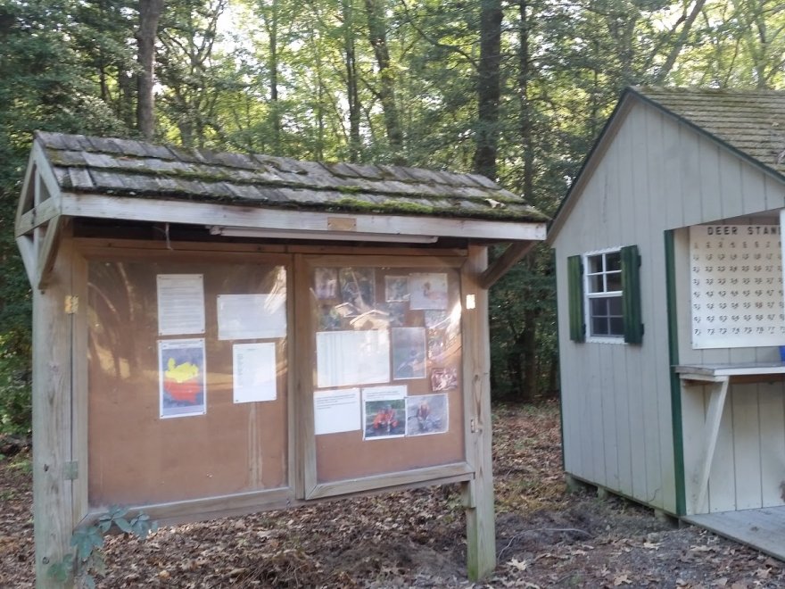 Assawoman Wildlife Area