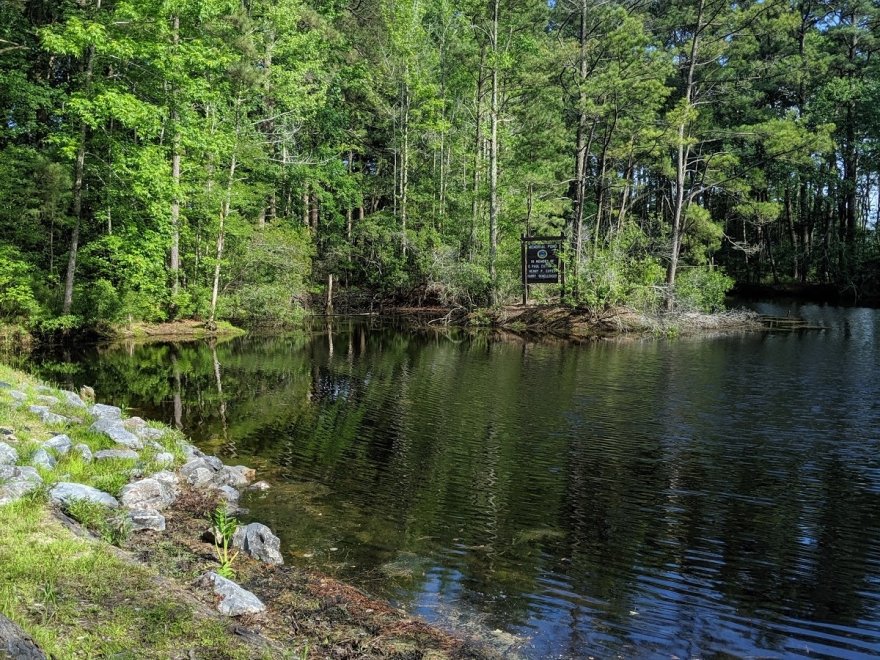 Assawoman Wildlife Area