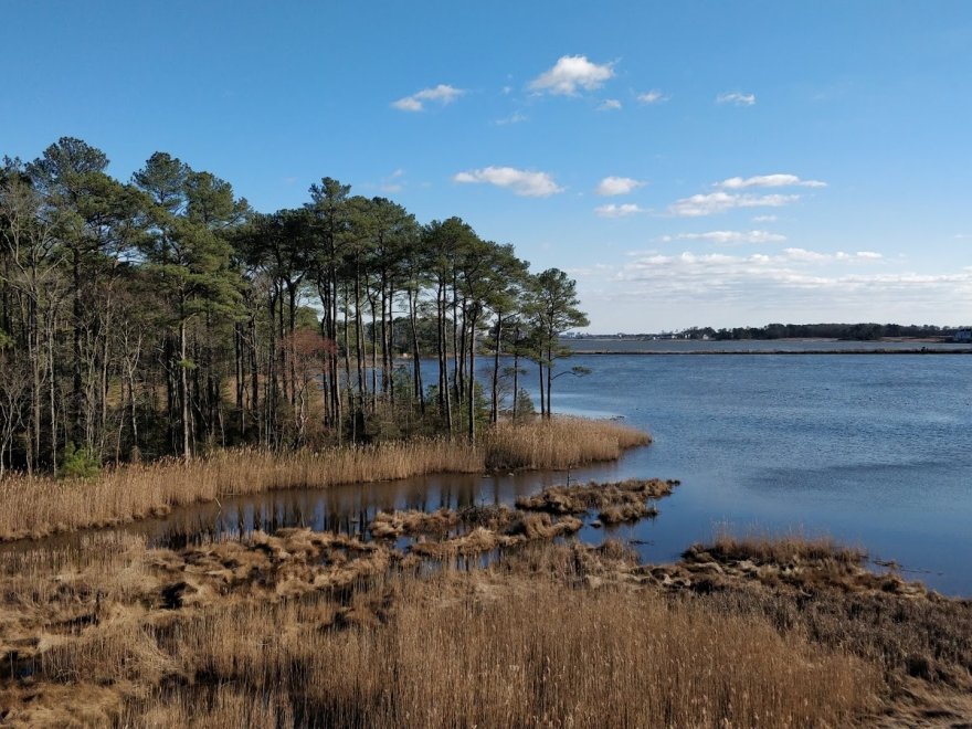 Assawoman Wildlife Area