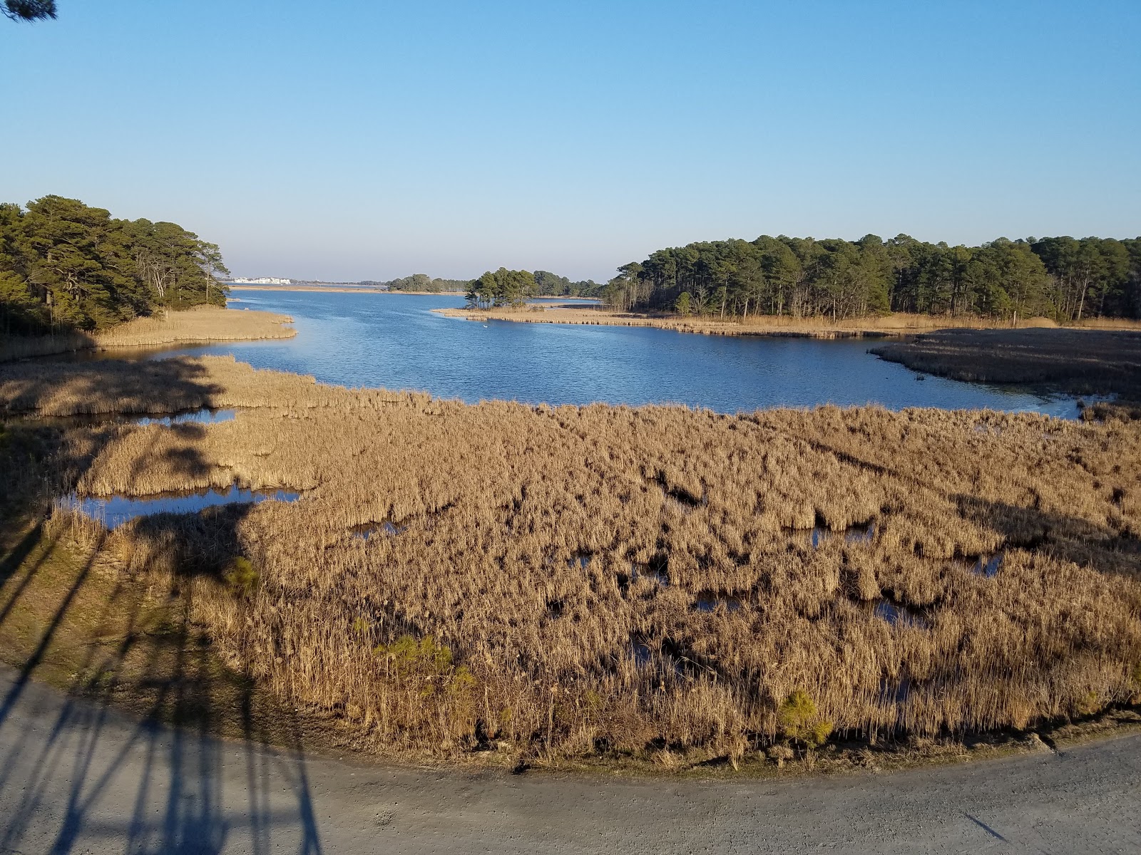 Assawoman wildlife area 37604 mulberry discount landing rd frankford de 19945