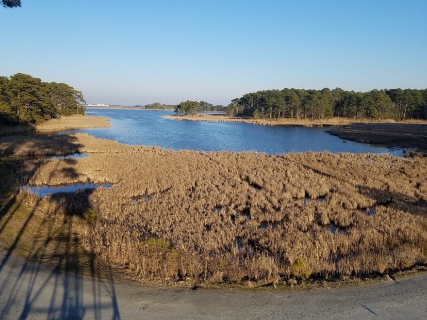 Assawoman Wildlife Area