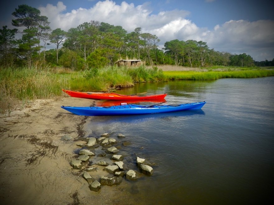 Assawoman Wildlife Area