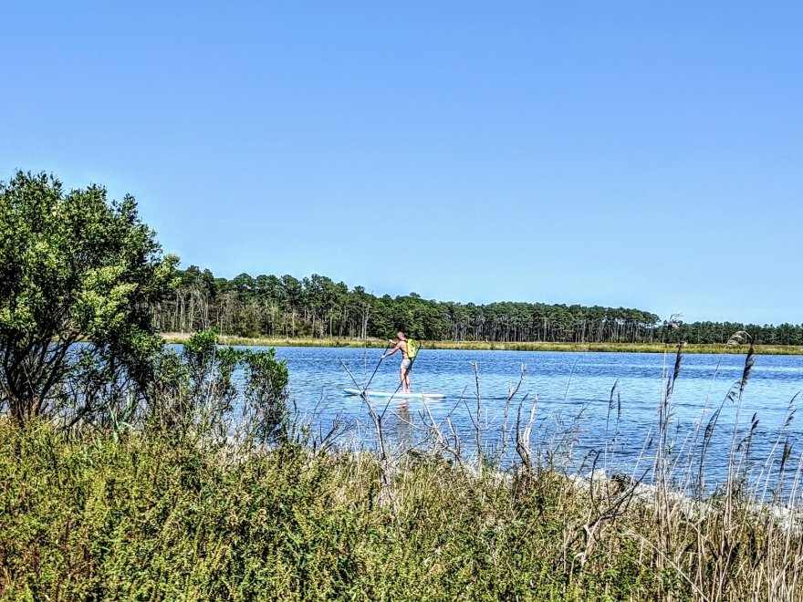 Assawoman Wildlife Area