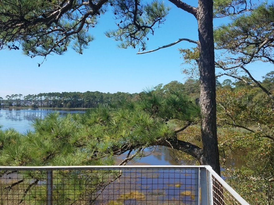 Assawoman Wildlife Area