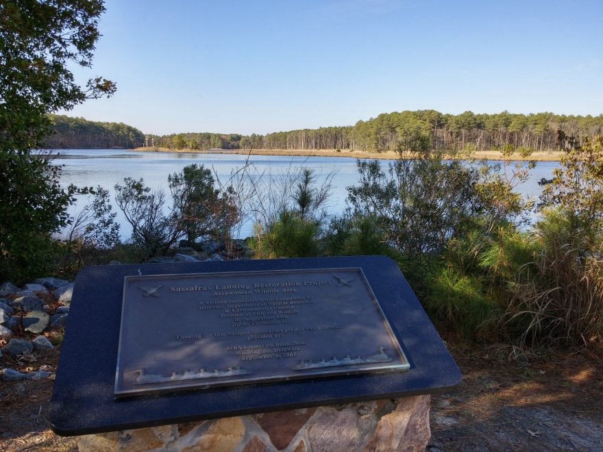 Assawoman Wildlife Area